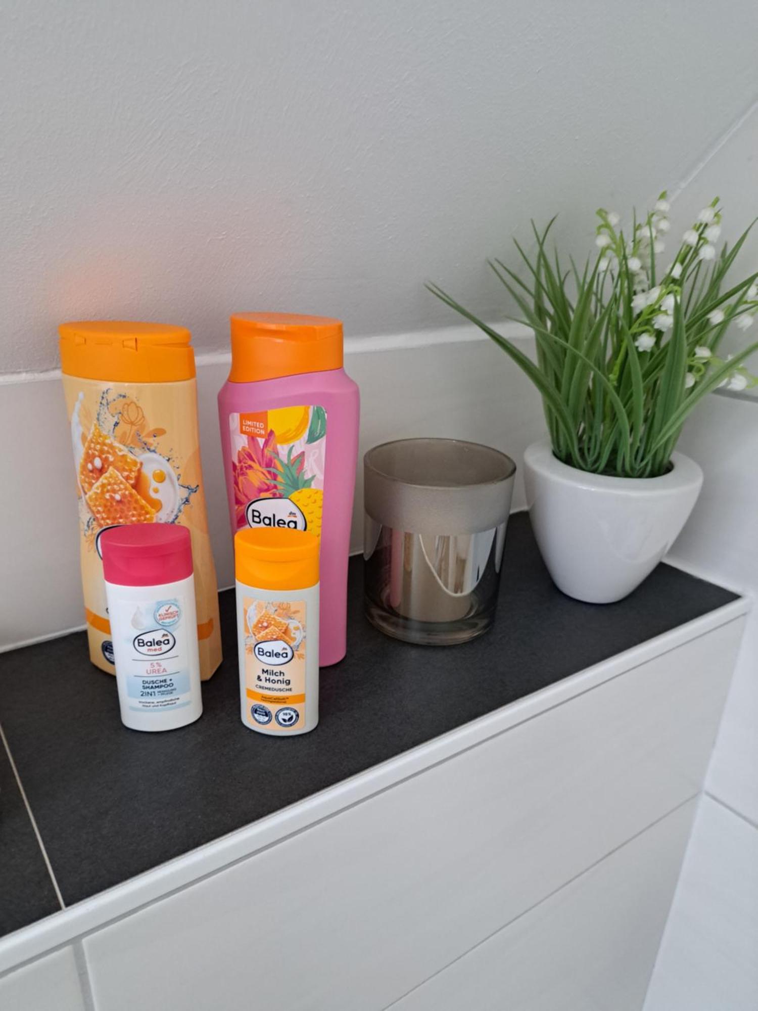 Wunderschoenes 2 Zimmer Apartment Inkl. Parkplatz Asbach  Esterno foto